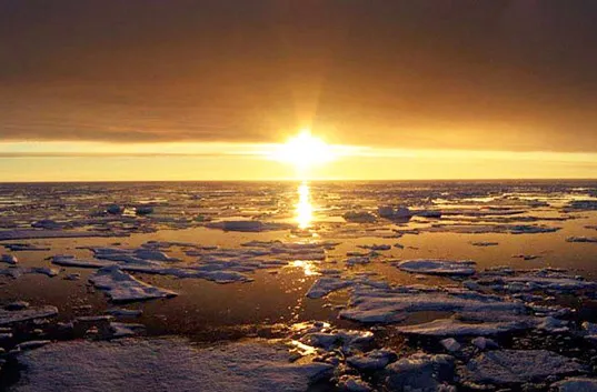 ‘Cli-fi’ gains traction as new literary form